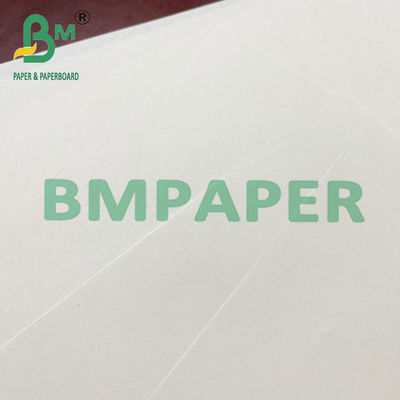 80 100 carta offset beige di Woodfree dello strato del rotolo da 120 GSM per stampa del libro