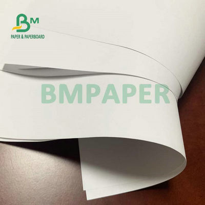 50gsm 53gsm Carta bianca offset non patinata in carta Woodfree per notebook