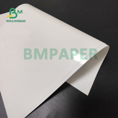 carta bagnata di resistenza di 65gsm 70gsm C1S per l'etichetta della birra 49 x 68 cm resistente all'acqua