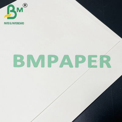 carta sicura di Cupstock dell'alimento di 190gsm 200gsm 210gsm per alimento caldo