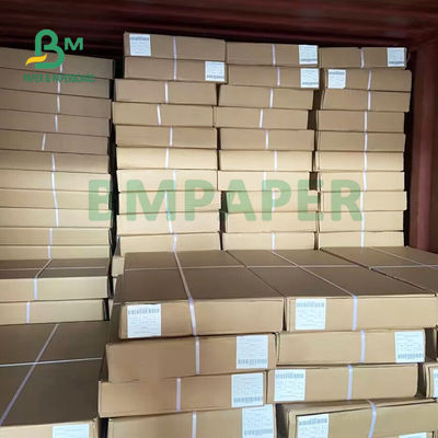 Doppio modello parteggiato che costruisce rotolo di carta per gli ampio formati 24&quot; x 50 yarde