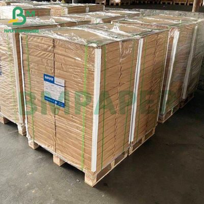 Cartone rivestito bianco del contenitore di alimento del pasto del pranzo del commestibile 270gsm 300gsm