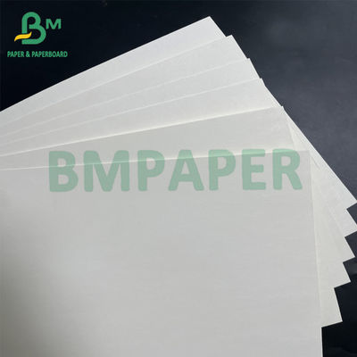 il singolo PE laterale 180gsm + 18gsm ha ricoperto la carta bianca della tazza lancia di carta