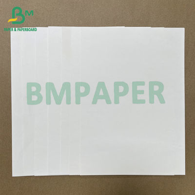 il singolo PE laterale 180gsm + 18gsm ha ricoperto la carta bianca della tazza lancia di carta