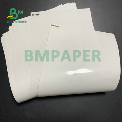 La colata bianca eccellente di lucentezza 80gsm il rotolo enorme di carta patinata 1020mm 1365mm