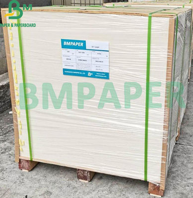 Carta non rivestita di legno per pagine a colori