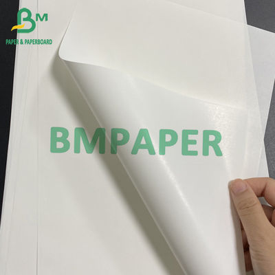 Carta bianca da 65 grammi per la birra o per l'etichetta delle bottiglie 49 x 68 cm 40 x 68 cm Carta ad alta resistenza al bagnato