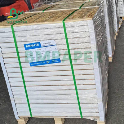 55gm 60gm Multicopia NCR Carta di copia senza carbonio Blu o Nero Immagine 860 x 610mm