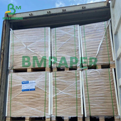 200 g - 400 g Carta FBB di grado alimentare Carta di cellulosa bianca per contenitori alimentari Carta C1S 25" x 37" 30" x 22,5"