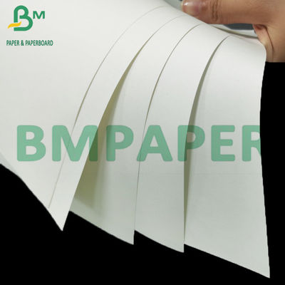 120 g 140 g di carta kraft bianca vergine di prima qualità