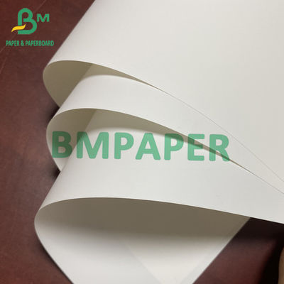 Carta sintetica di polipropilene per stampa laser a due lati 13&quot;x19&quot; Spessore 14pt 12pt 10pt 8pt