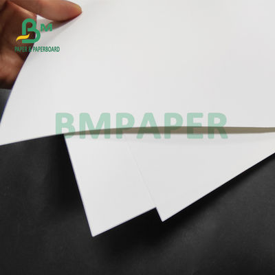 Stampa laser a due lati carta sintetica di polipropilene PET bianca 12' x 18'