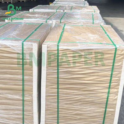 54" * 300ft 80gm Carta di testo C2S rivestita lucida e buona assorbente di inchiostro