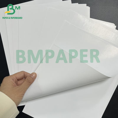 54" * 300ft 80gm Carta di testo C2S rivestita lucida e buona assorbente di inchiostro