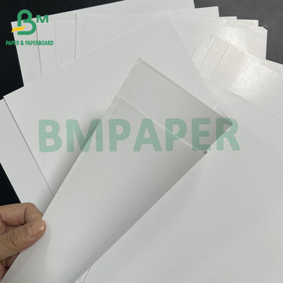 54" * 300ft 80gm Carta di testo C2S rivestita lucida e buona assorbente di inchiostro