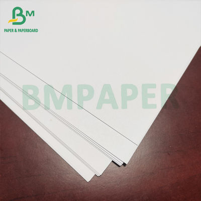 100 g 140 g Carta d'avorio non rivestita, senza legno, bianco naturale, 24&quot; x 35&quot;