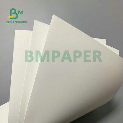 150 g 200 g Carta sintetica matta A4 A3