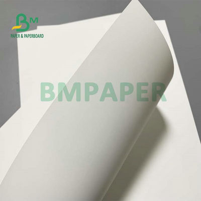150 g 200 g Carta sintetica matta A4 A3