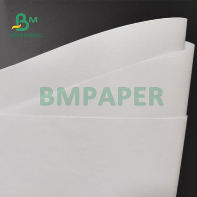 70 gm 80 gm Carta di pura consistenza non rivestita per libri di testo Stampa offset 890 mm