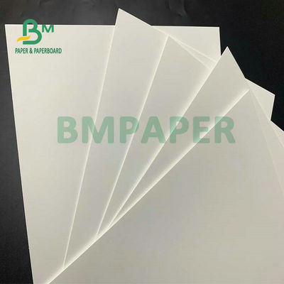 C1S Food Grade FBB Board 270g 325g 350g Per la fabbricazione di hamburger box