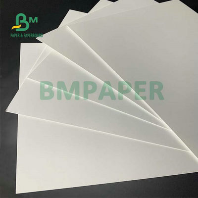 C1S Food Grade FBB Board 270g 325g 350g Per la fabbricazione di hamburger box