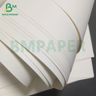 Single PE Coated Lunch Box Board Bianco Bianco Per imballaggi alimentari