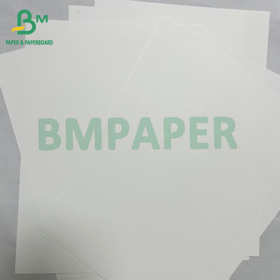 Materiale per striscioni di carta sintetica PET impermeabile liscia da 180micr