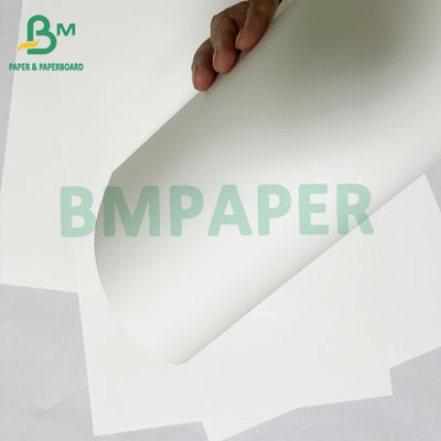 Materiale per striscioni di carta sintetica PET impermeabile liscia da 180micr