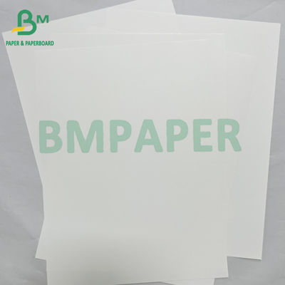 Materiale per striscioni di carta sintetica PET impermeabile liscia da 180micr