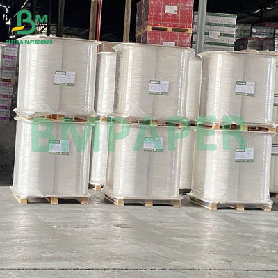 120 g 60 g di carta di paglia laminata per alimenti Paglia di carta per bevande frullate