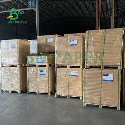 100 gm 140 gm Carta bianca non rivestita per esercizi Livello di allenamento Alta morbidezza