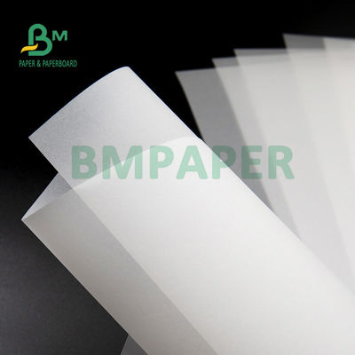 80 gm 113 gm Carta bianca traslucida per lo schizzo 610 mm x 914 mm