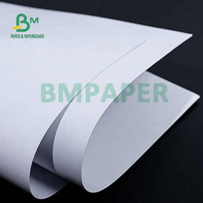 Cartone con rivestimento bianco ad alta polpa Cartone a nucleo blu 280 gm 300 gm