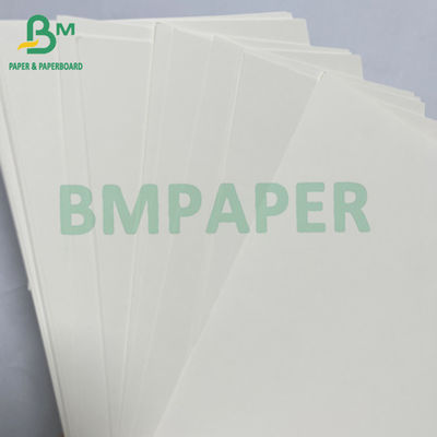 100 gr 200 gr Riciclabile Grado Alimentare Bagassa Pulpa Rollo di Carta Bianca