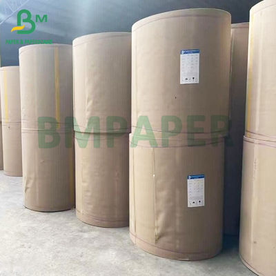 100 gr 200 gr Riciclabile Grado Alimentare Bagassa Pulpa Rollo di Carta Bianca