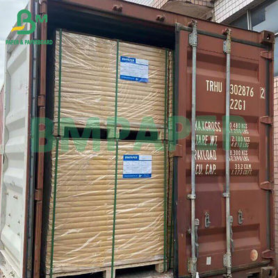 Fibre riciclate canna da zucchero contro pasta di legno Carta di canna da zucchero per la produzione di tazze