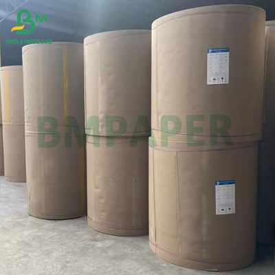 48 gm 55 gm carta POS riciclabile Jumbo roll per casse