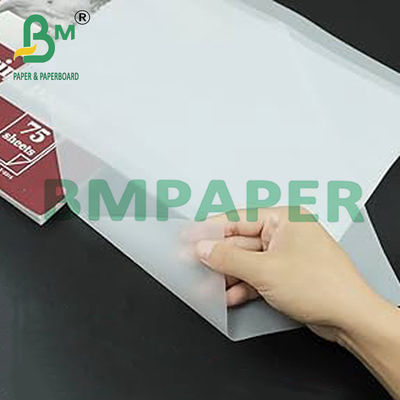 Carta di disegno traslucida per copioni - 500 fogli / riam
