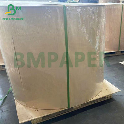 48 gm 55 gm Jumbo Roll Paper Termico per bancomat e cassa POS