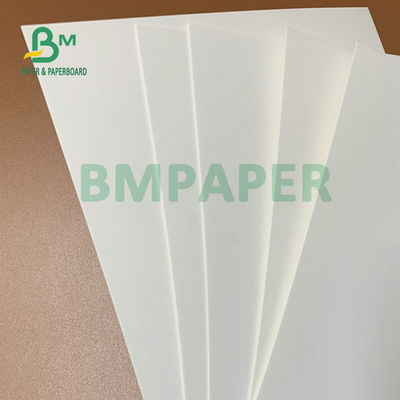 275 gm + 15 gm foglio di cartone bianco rivestito in PE 74 x 106 cm Per scatole di imballaggio surgelato