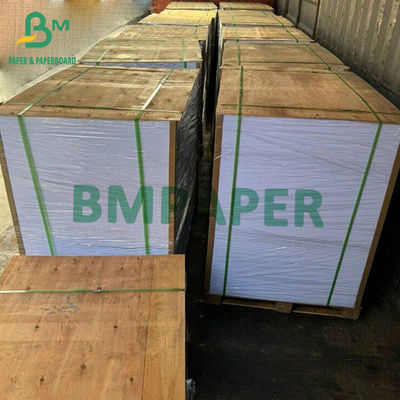 53 gm - 400 gm Carta libera non rivestita Cartuccia di libro senza legno 78 X 102cm 72 X 105cm 77 X 110cm Grande dimensione