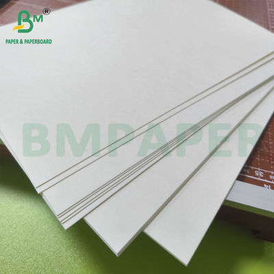 Carta bianca naturale non rivestita compostabile per tazze
