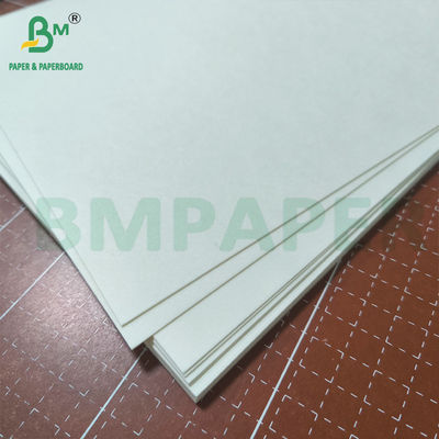 Carta bianca naturale non rivestita compostabile per tazze