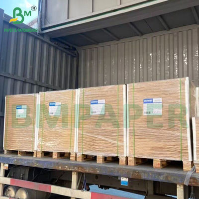 Carta bianca naturale non rivestita compostabile per tazze