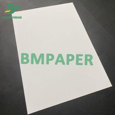 Carta di Bristol Dimensioni 100x70cm 230 250 270 grammi Carta bianca non rivestita