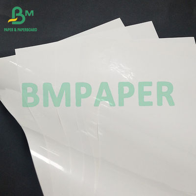 Carta resistente all'umidità 65 gm per etichette di bevande