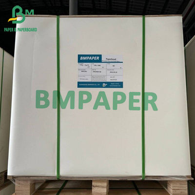 Cartone bianco per alimenti surgelati 15g Single PE Coated Board Personalizzare fogli di grandi dimensioni