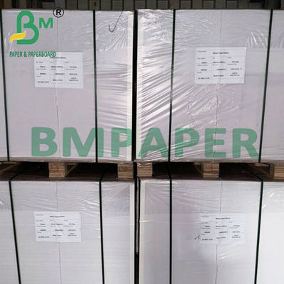 38 - 40 gsm KIT 4-6 350 x 450 Carta antigrassi per imballaggio da pranzo