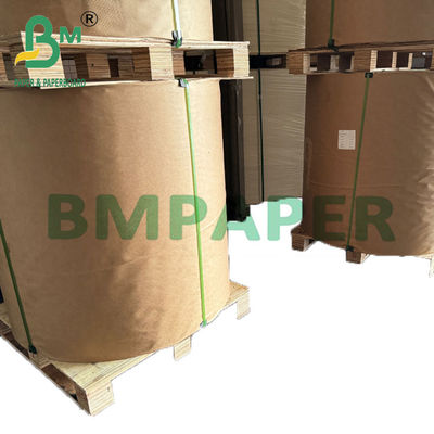 56 gm Acque resistenti carta di borsa di mango marrone per la protezione dei frutti UV Grow
