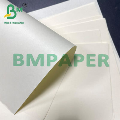 70 g 80 g Carta non rivestita di colore cremoso per notebook